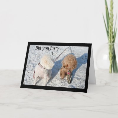 funny dog pictures. Funny Dog Card by justdahl