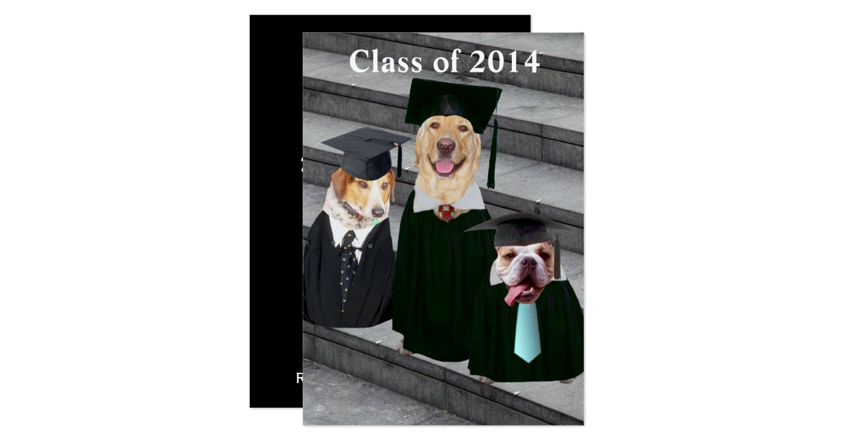 Funny Dog Graduation Party Invitation Zazzle