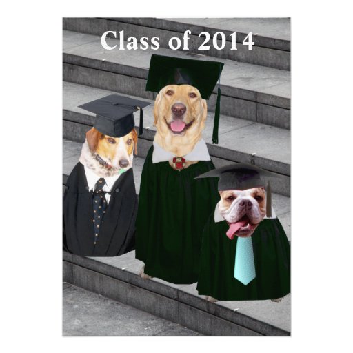 Funny Dog Graduation Party Invitation