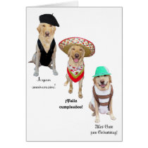 Funny Dog Happy Birthday in Four Languages cards