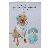 Funny Dog/Lab & Cat Get Well cards