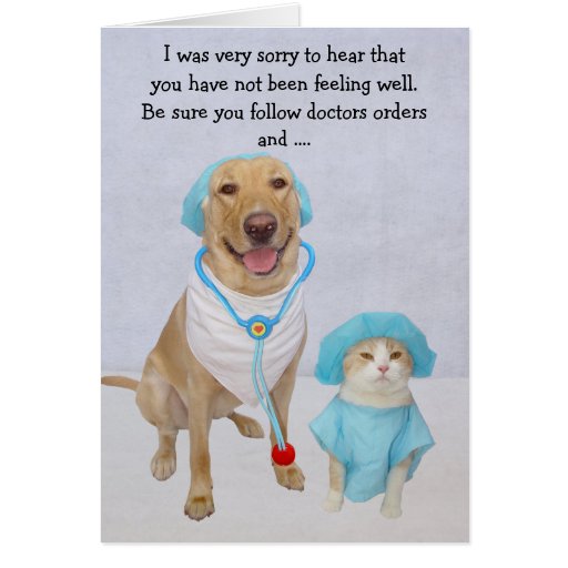 funny-dog-lab-cat-get-well-greeting-card-zazzle