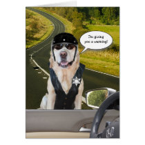 Funny Dog/Lab Cop Over the Hill cards