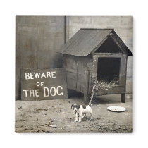 Funny Dog magnet