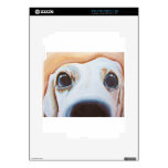 Funny Dog Painting iPad 2 Skin