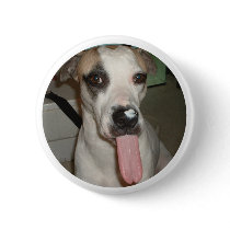 FUNNY DOG PIN buttons