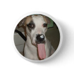 FUNNY DOG PIN buttons
