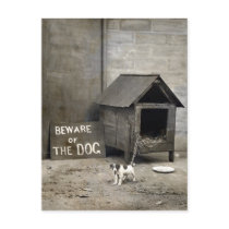 Funny Dog postards Post Card