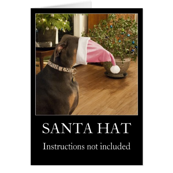 Funny dog Santa hat Christmas greeting card