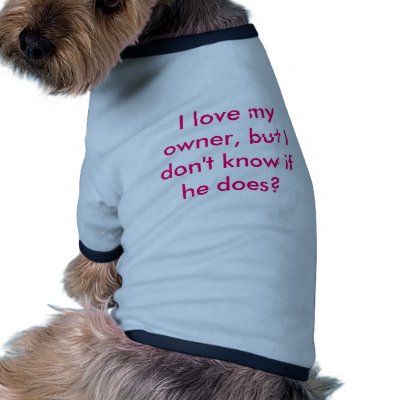 Funny pet clothing