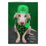 Funny Dog St. Patty's Day Cards