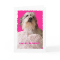 Funny Dog Valentine -- All Yours Valentine cards by KathyHenis Funny Dog Valentine -- All Yours Valentine cards