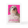 Funny Dog Valentine -- All Yours Valentine