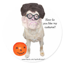 Funny Dog With Human Mask stickers