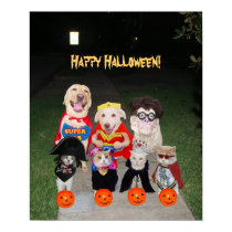 Funny Dogs & Cats Halloween posters