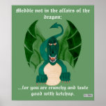 Funny Dragon Poster posters