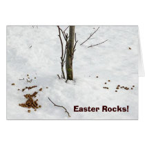 Funny Easter Bunny Poop Card by jesterbryanc Funny Easter Bunny Poop Card