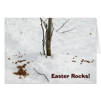 Funny Easter Bunny Poop Card card