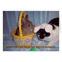 FUNNY EASTER CARD