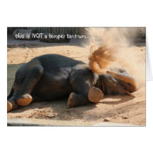 Funny Elephany birthday card, No more nutella!!
