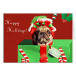 Funny Embarrassed Pug Holiday Card