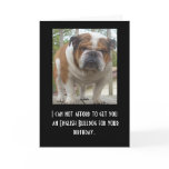 Funny English Bulldog Birthday Card