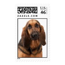 Funny Face Bloodhound Postage