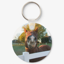 Funny Face keychains