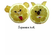 Funny Face Lemon Fruits T-Shirt /Apparel