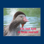 Funny face postcards by KatAnnette Funny face postcards