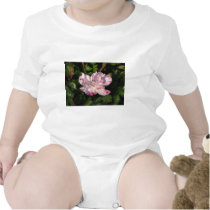 Funny Face Shrub Rose 115 t-shirts