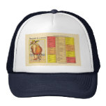 Funny Fat Lady on Beach Mesh Hat