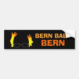 Funny Fiery Hair Bern Baby Bern Bernie Sanders