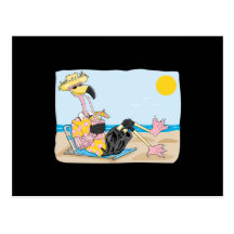 funny flamingo on vacation post cards