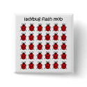 funny flash mob ladybug buttons