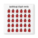 funny flash mob ladybug magnets