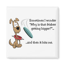 Funny Frisbee magnet