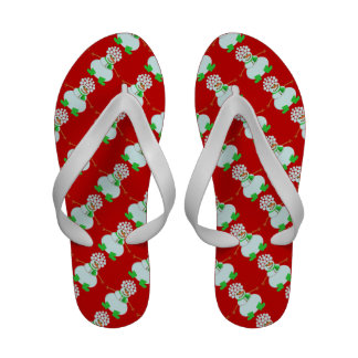 Funny Flip Flops, Funny Sandal Footwear for Women & Men