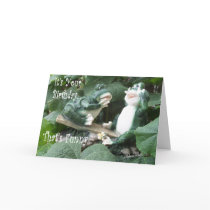 Funny Frog Bday card by MakaraPhotos Funny Frog Bday card