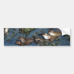 Funny frogs bumper stickers