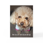 Funny get well card cards