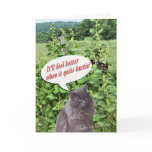 makara, cat, humor, funny, get well, accident,