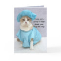 Funny Get Well cards by myrtieshuman Funny Get Well cards