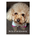 Funny get well card