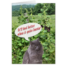 Funny Get Well card