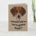 Funny Get well card for dogs card
