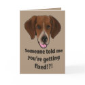 Funny Get well card for dogs by knewfy3 Funny Get well card for dogs