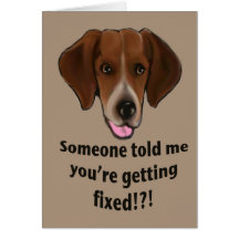 Funny Get well card for dogs