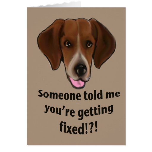 funny-get-well-card-for-dogs-zazzle