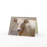 Funny Get Well - Cute White Cow - Ranch or Farm cards